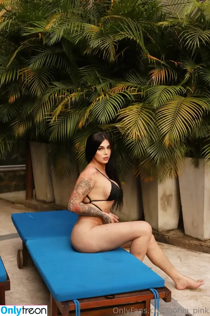 sofiia_pink nude photo #0023 (sofiia_pink)
