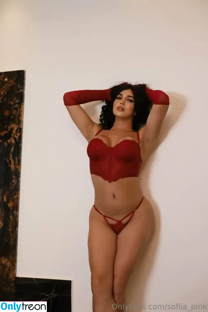sofiia_pink nude photo #0033 (sofiia_pink)