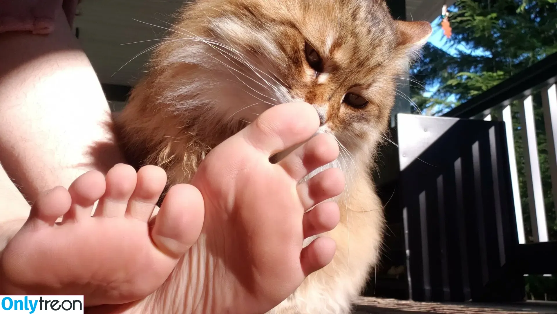 softcorekittyx голая photo #0016 (plaasticbarbiee)