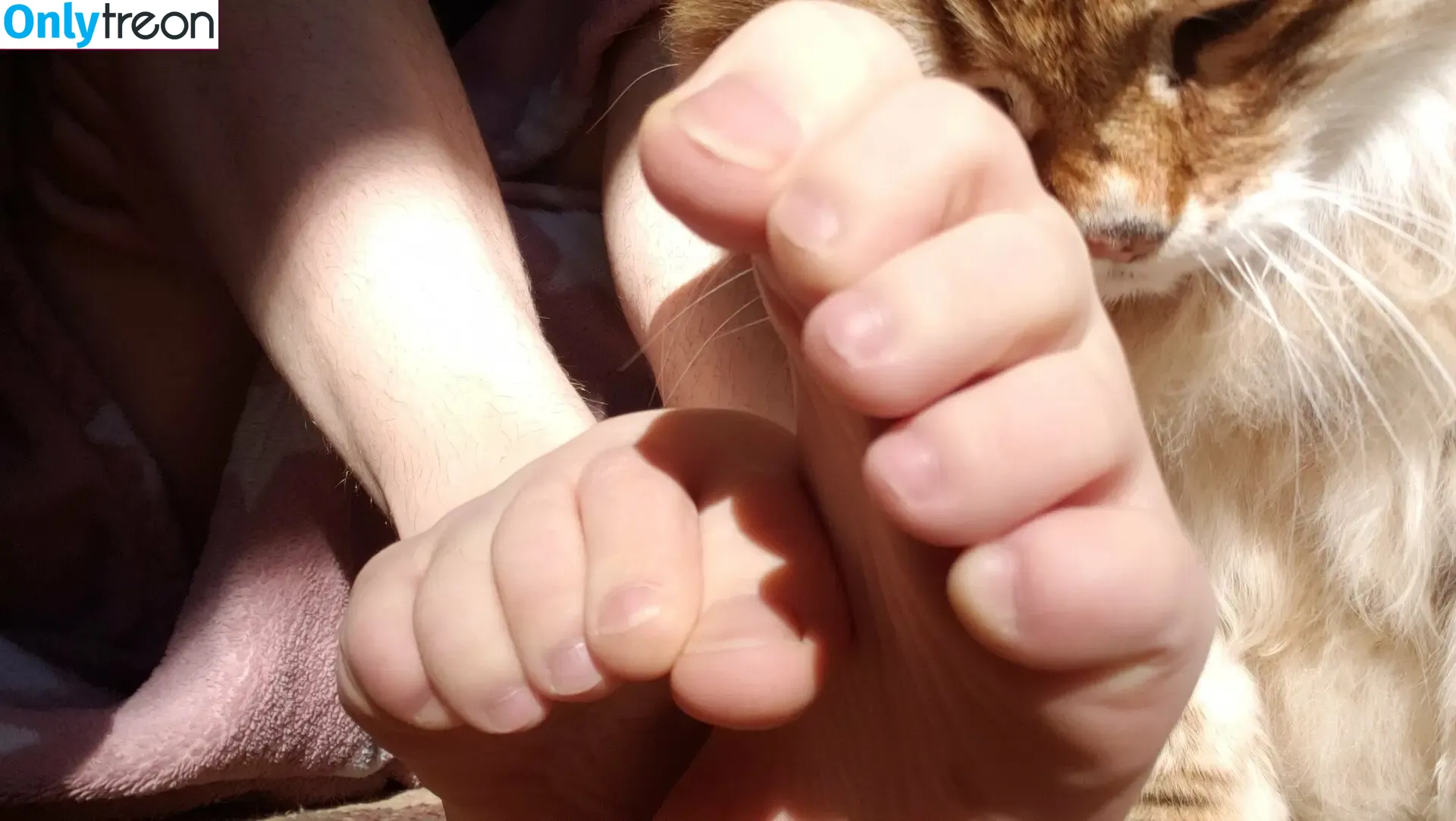 softcorekittyx голая photo #0018 (plaasticbarbiee)