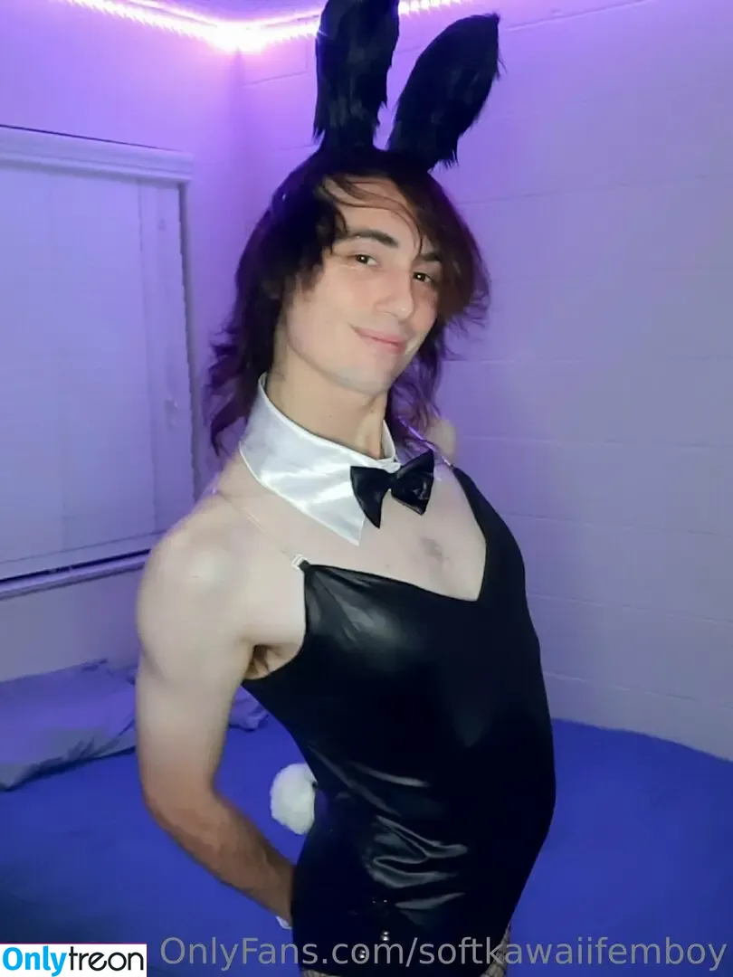 softkawaiifemboy nude photo #0032 (softkawaiifemboy)