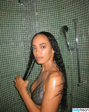 Solange Knowles / solangeknowles nude photo #0030