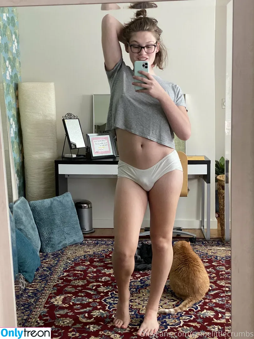 somelittlecrumbs голая photo #0038 (therealtsmadison)