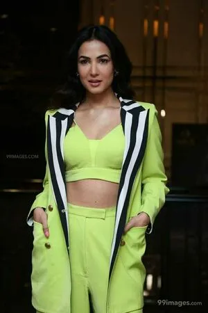 Sonal Chauhan / sonalchauhan фото голая #0066