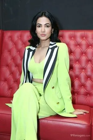 Sonal Chauhan / sonalchauhan фото голая #0070