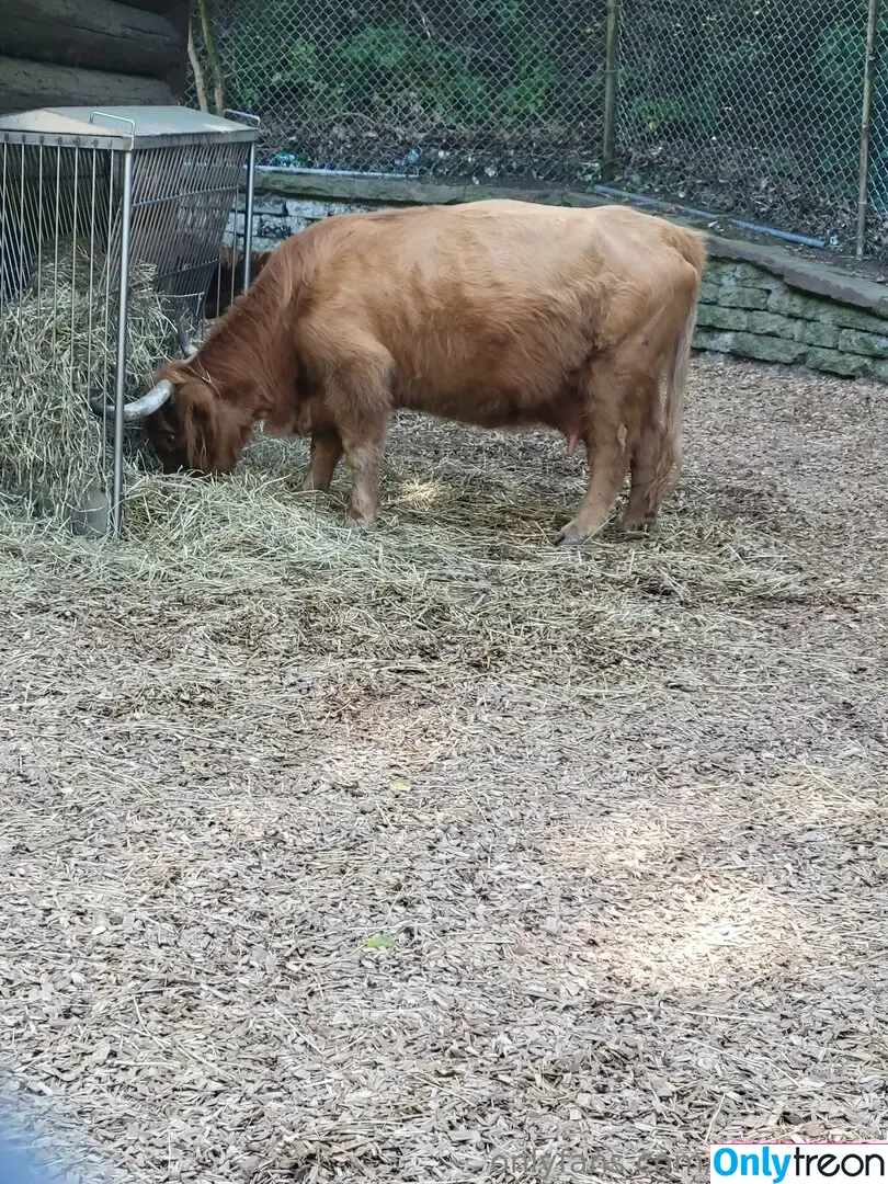 sonjahaze голая photo #0232 (sonja.haze)