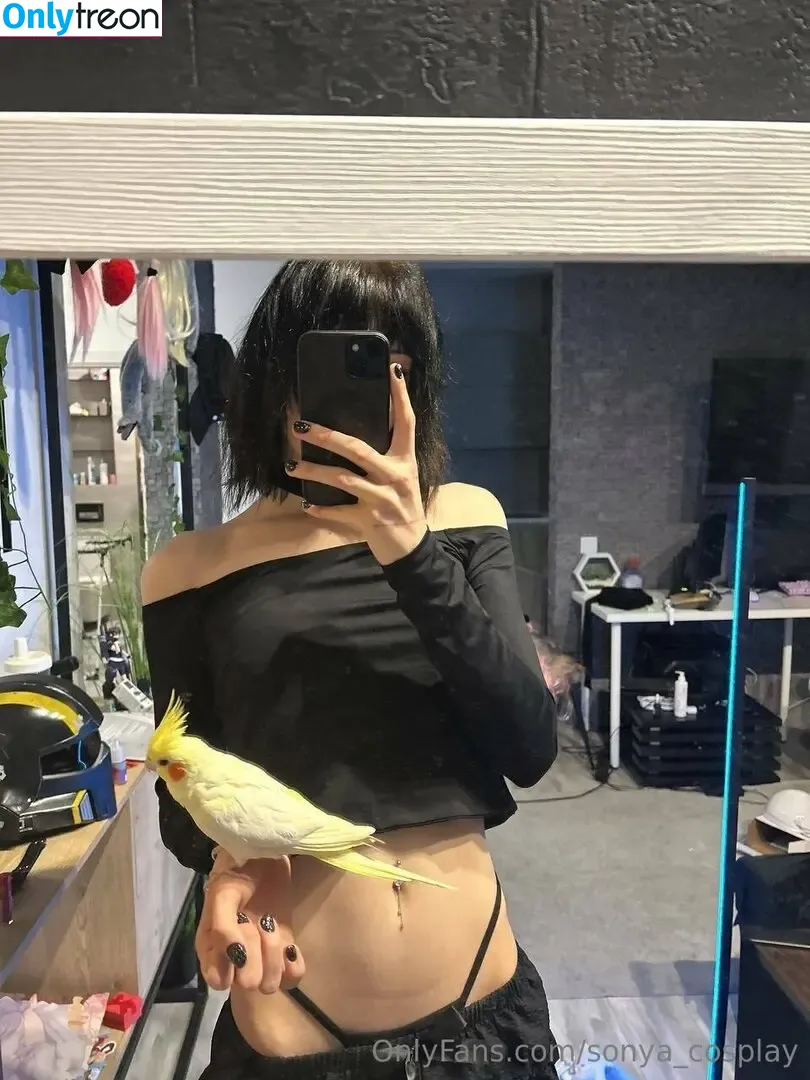 sonya_cosplay nude photo #0058 (sonya_cosplay)