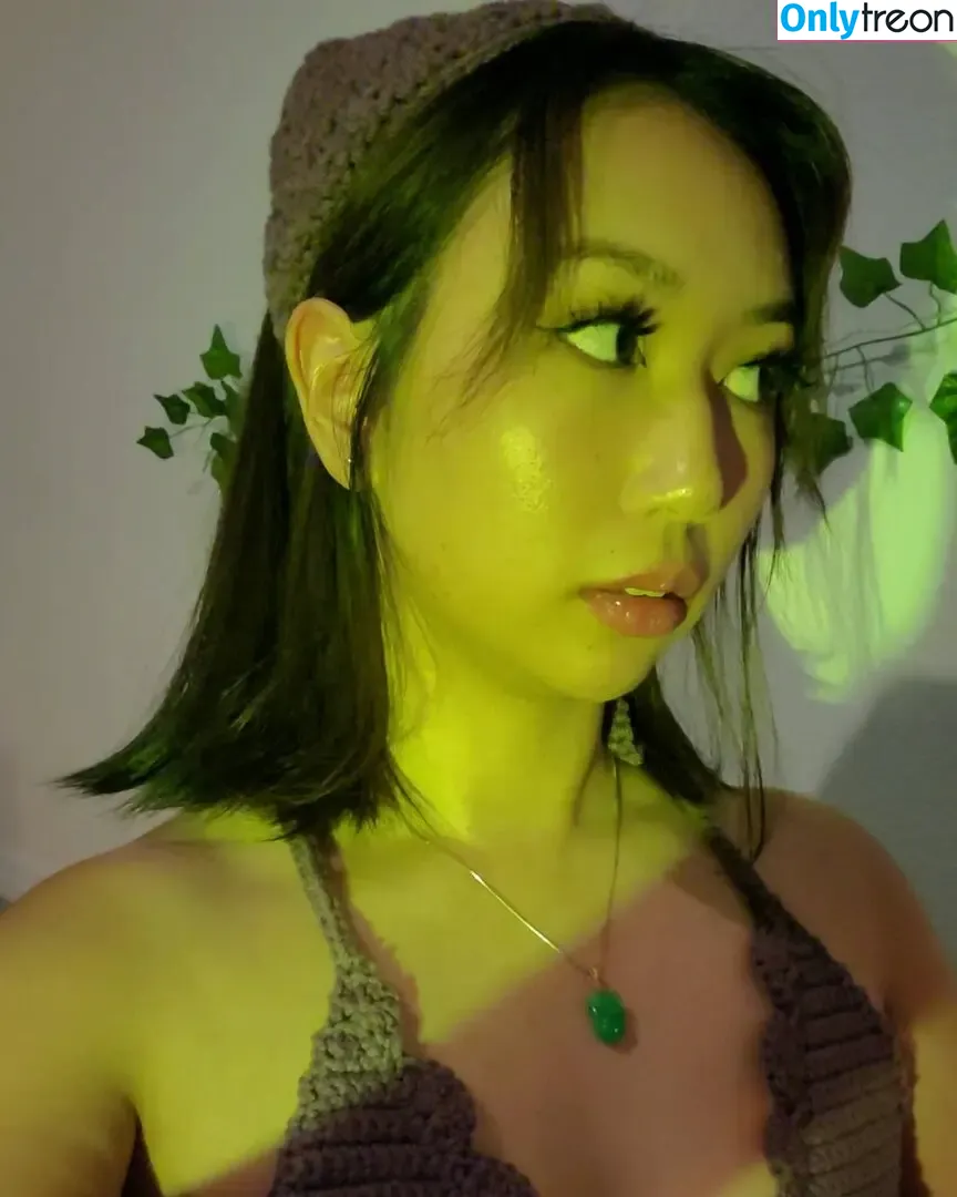 Sophia Phan nude photo #0193 (EatMyPhannnie / Sophiaphannn)