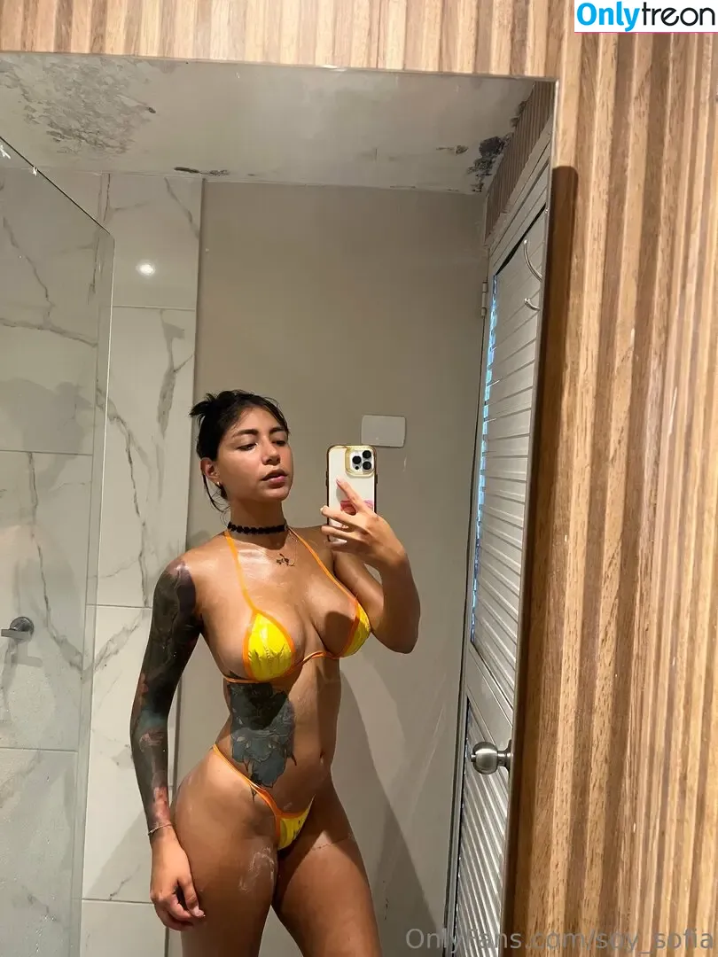 Soy_Sofia nude photo #0551 (soy_sophia / soysofia_2)