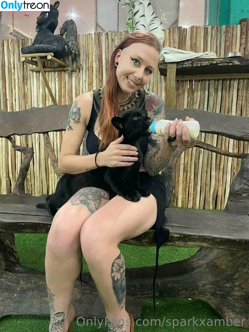 sparkxamber голая photo #0059 (datgirltv)