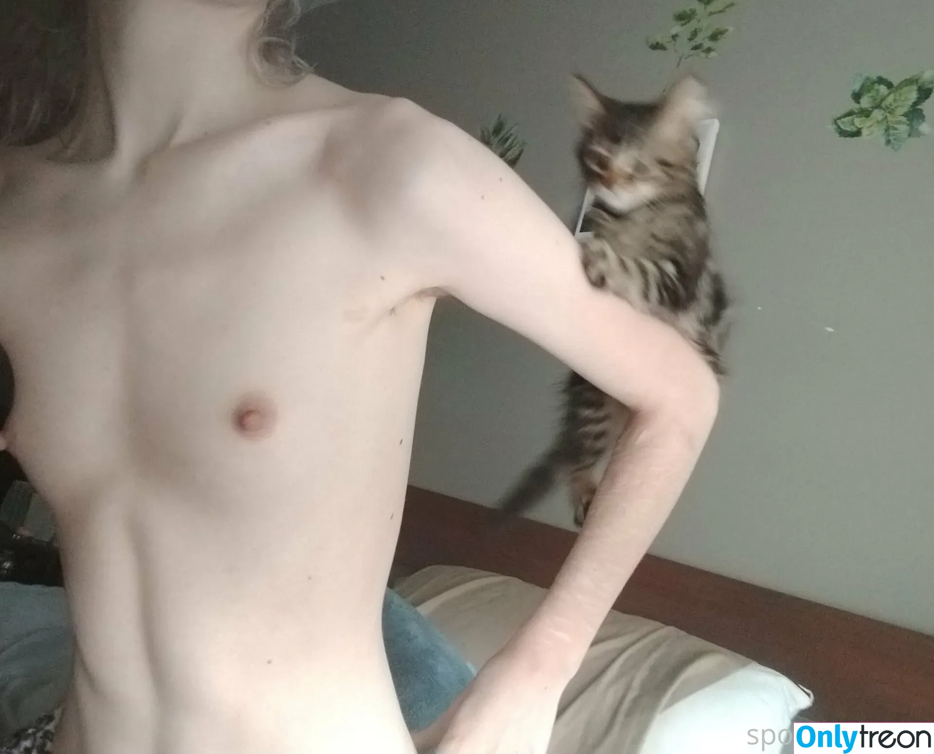 spoiledbratcat голая photo #0111 (sfwbratcat / spoiledbratcattt)