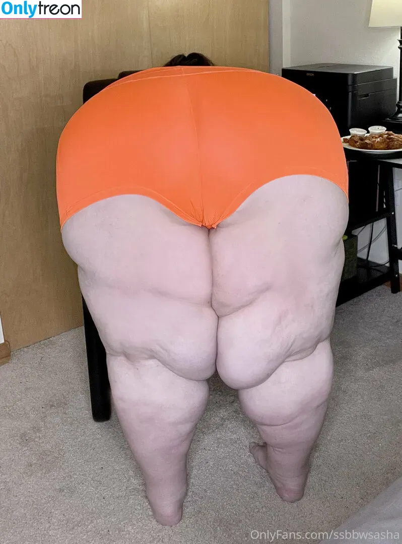 ssbbwsasha голая photo #0242 (ssbbwsasha)