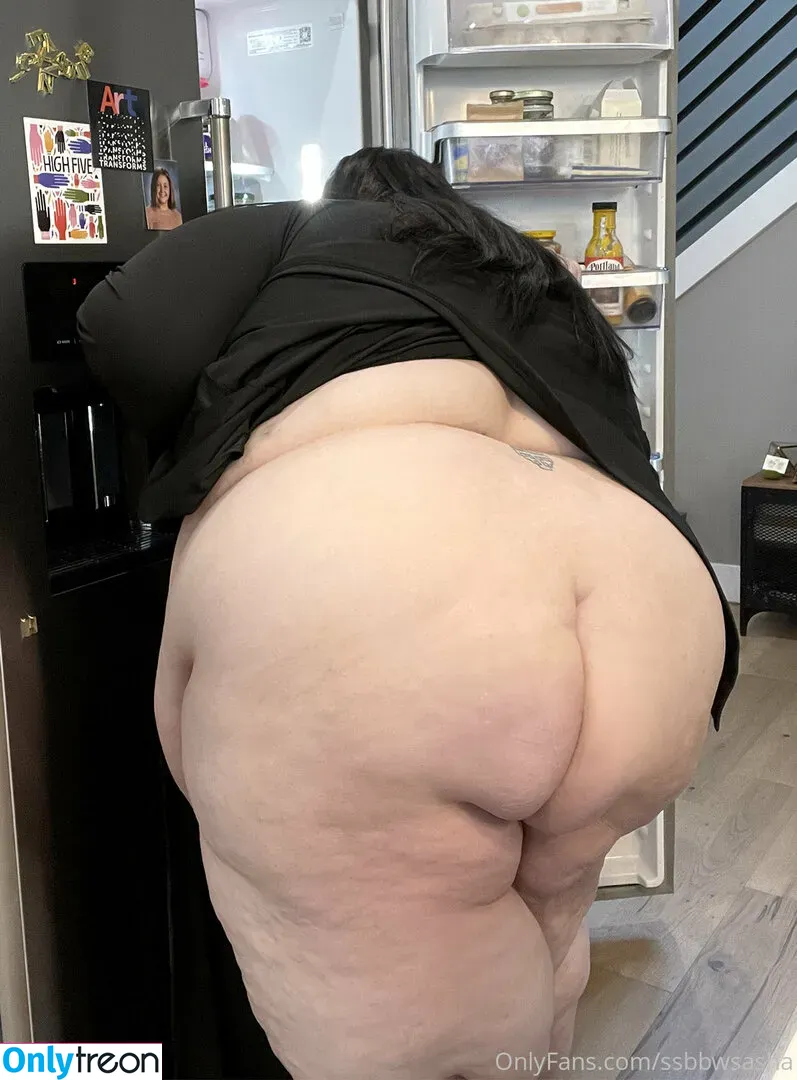 ssbbwsasha nude photo #0489 (ssbbwsasha)