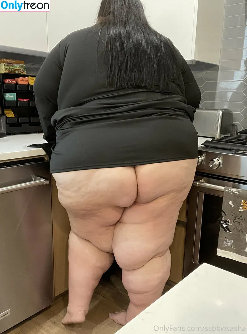 ssbbwsasha голая photo #0505 (ssbbwsasha)