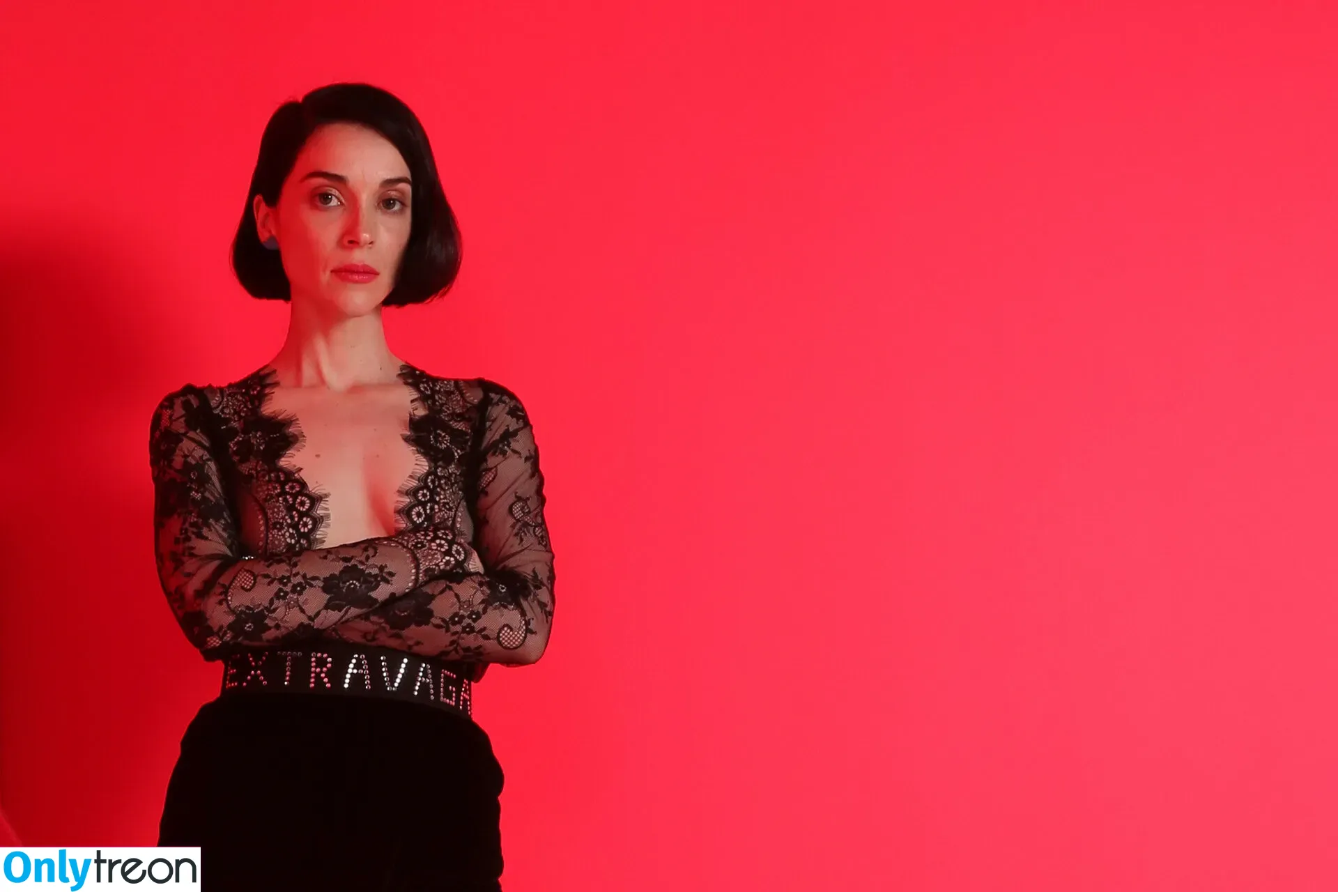 St Vincent nude photo #0008 (Annie Erin Clark / muddaub / st_vincent)