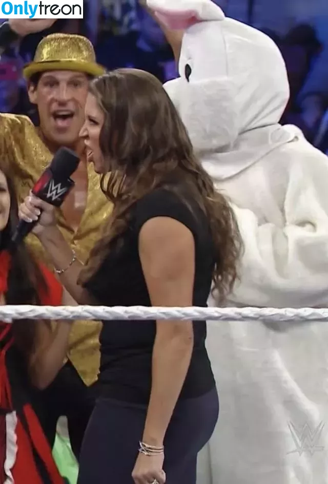 Stephanie McMahon nude photo #0229 (stephaniemcmahon)