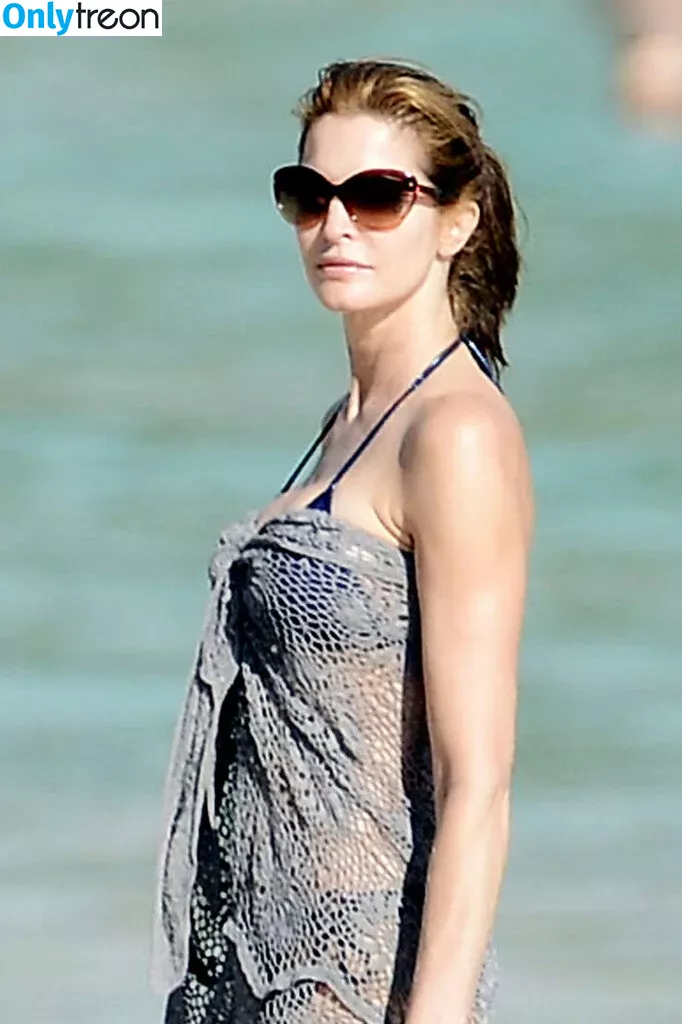 Stephanie Seymour nude photo #0082 (stephanieseymour)