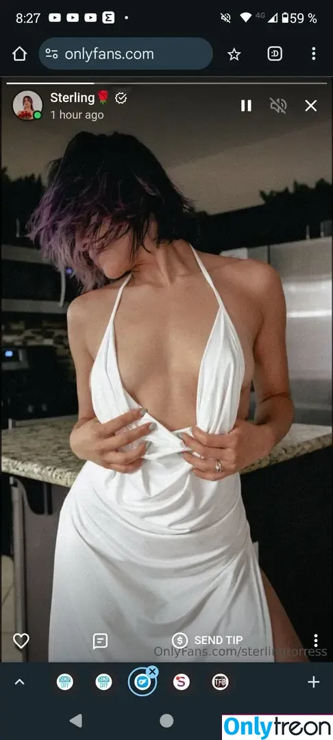 Sterling Torres nude photo #0048 (sterlingtorress)