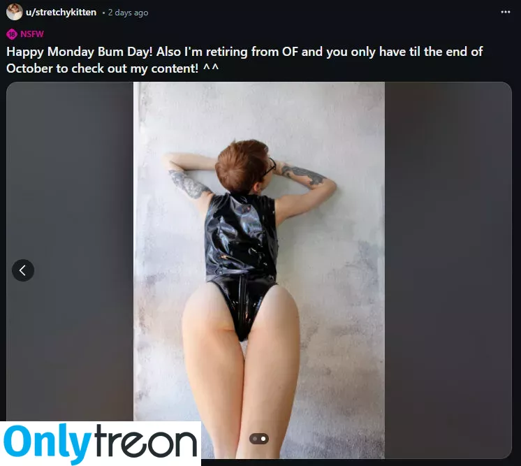 stretchykitten голая photo #0110 (stretchykitten_official)