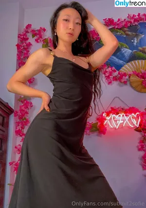submit2sofie / slayerofliarsandscammers2.0 nude photo #0149