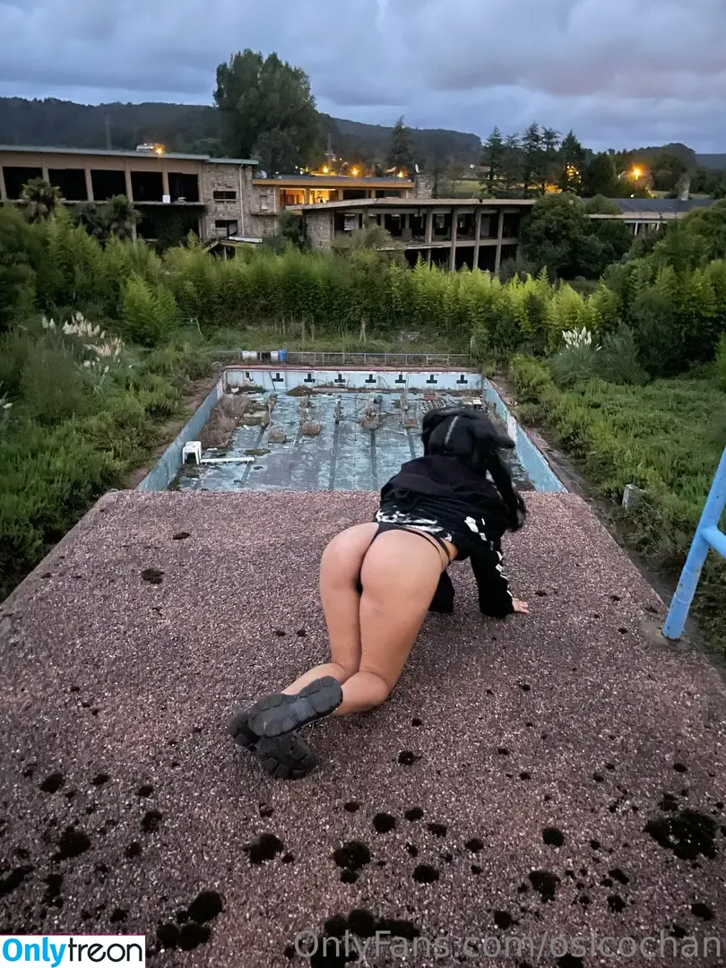 sucubofree голая photo #0011 (osicochan)
