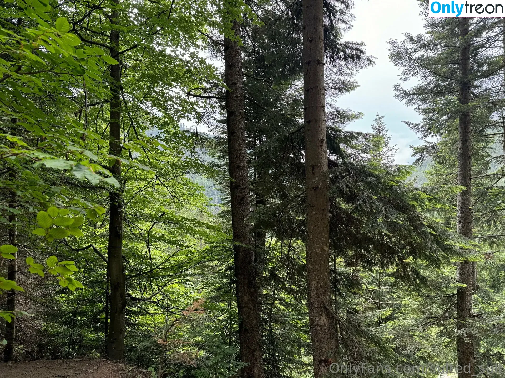 sulted_sult голая photo #0052 (sulted_sult)