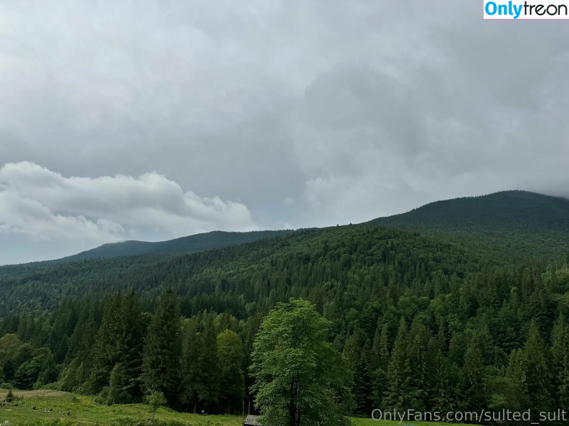 sulted_sult голая photo #0068 (sulted_sult)