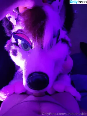 Sundaehuskie / sundae_the_husky nude photo #0014