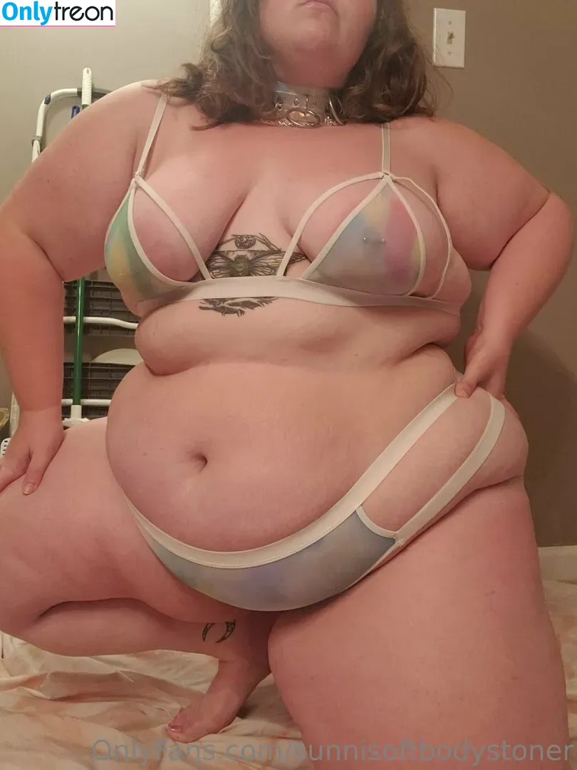 sunnisoftbodystoner nude photo #0323 (_forevernis)