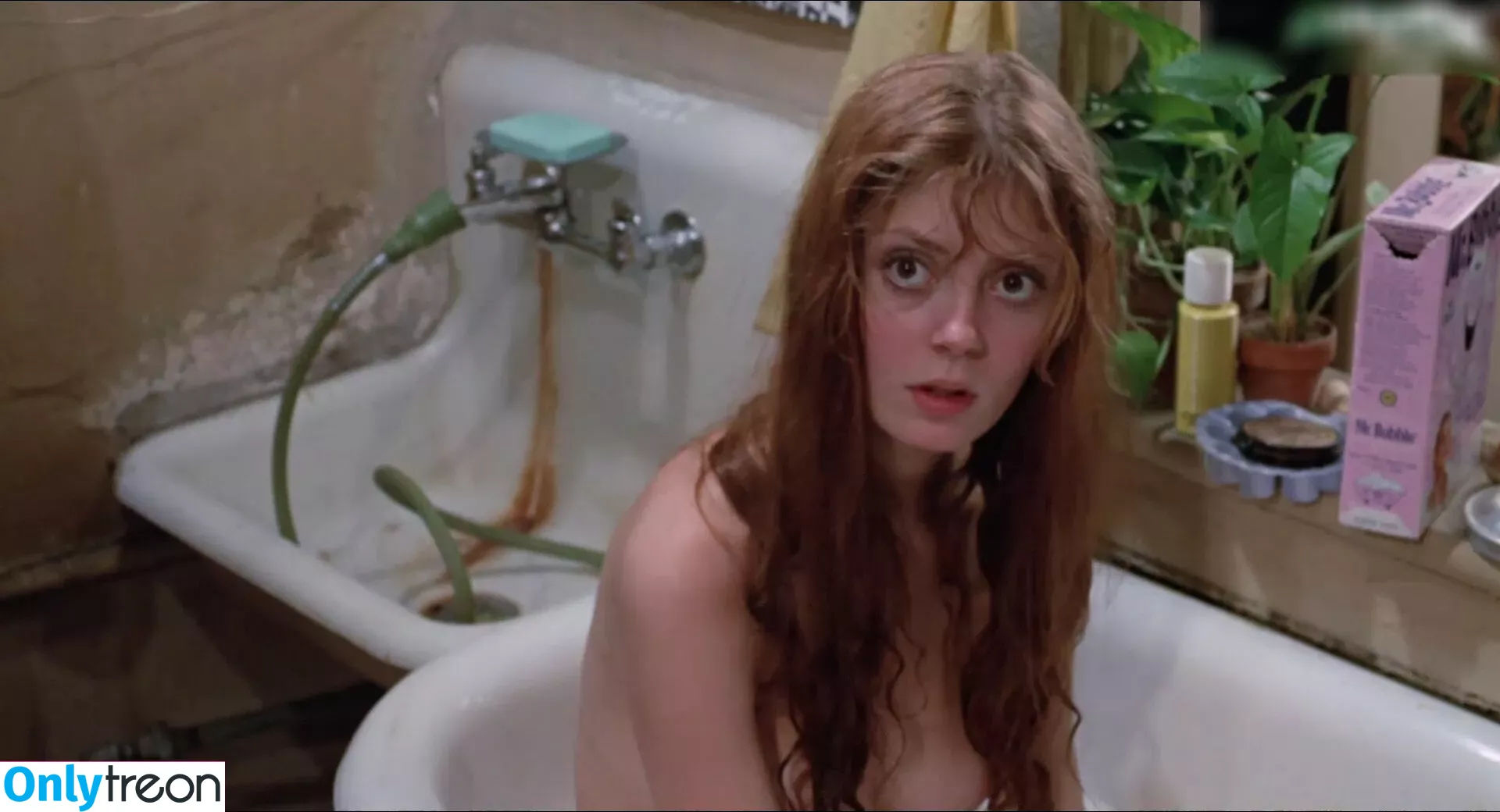 Susan Sarandon nude photo #0070 (susansarandon)