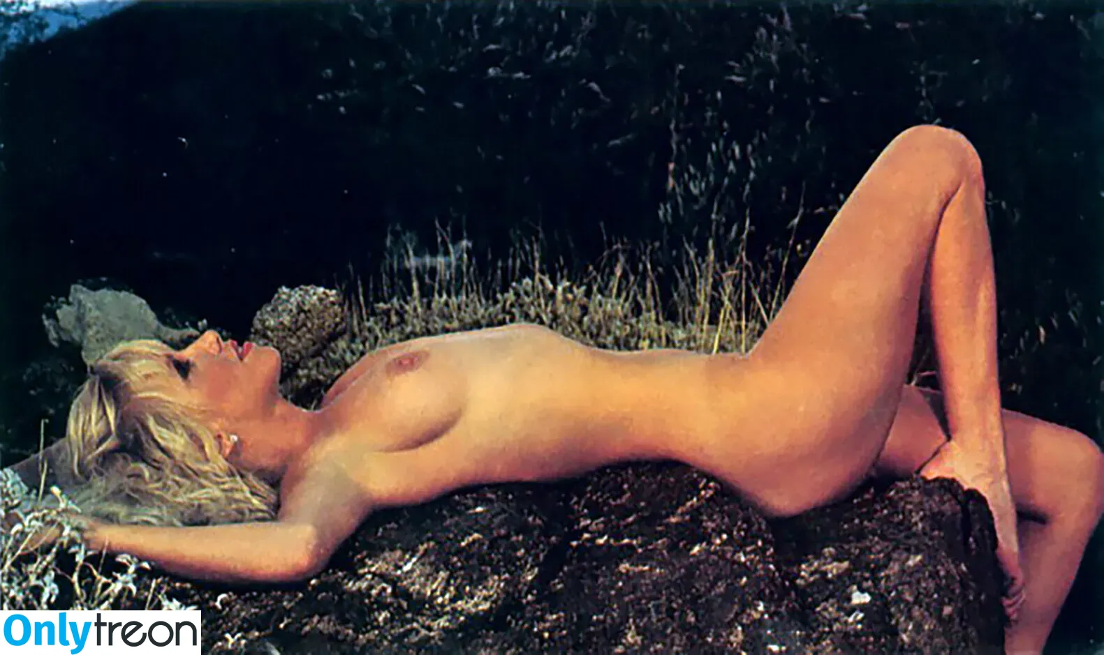 Suzanne Sommers nude photo #0006 (suzannesomers)