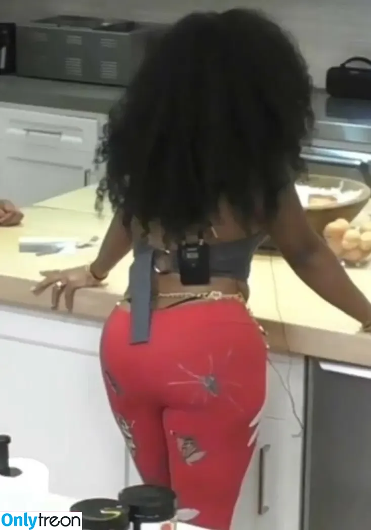 SZA | Solana Rowe nude photo #0012 (sza)