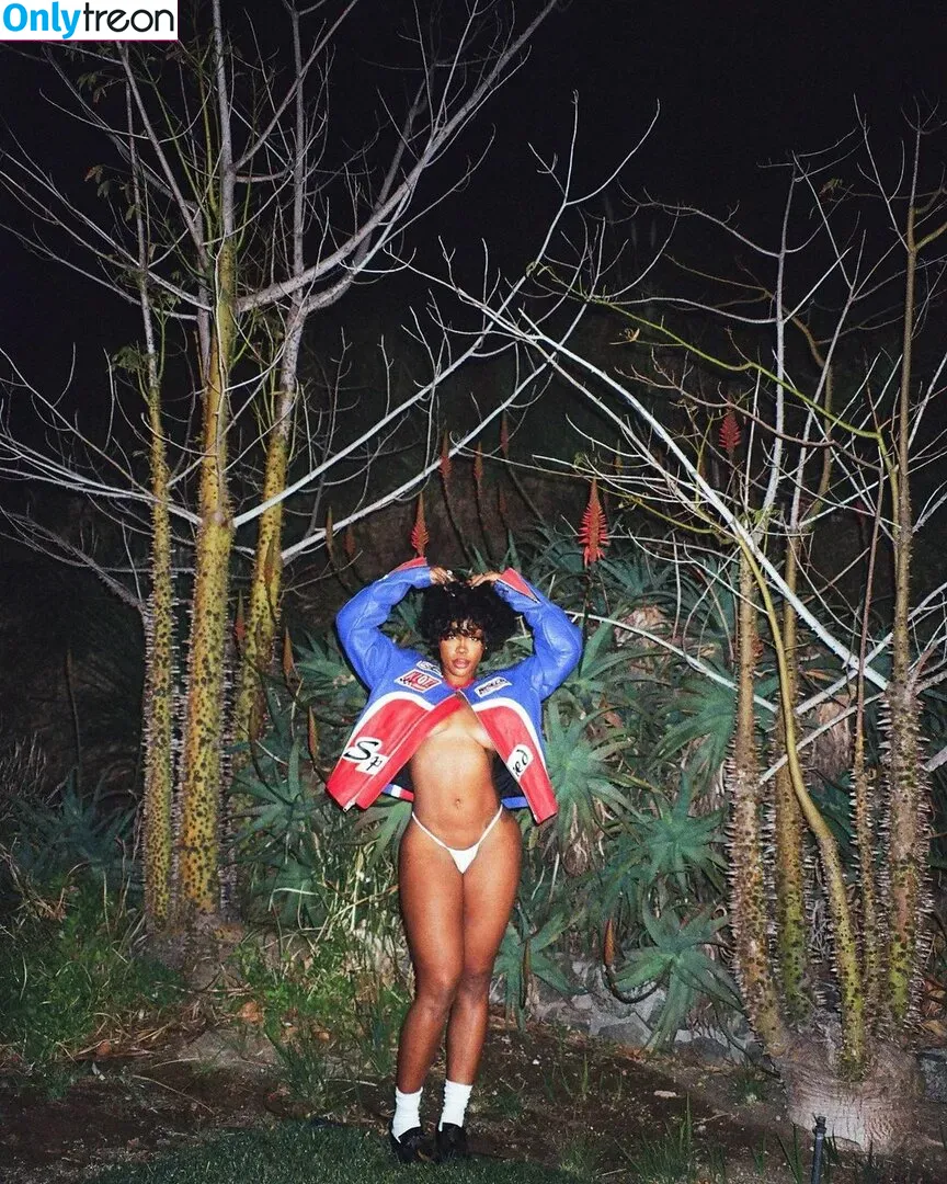 SZA nude photo #0186 (Solana Rowe / thejad3x)