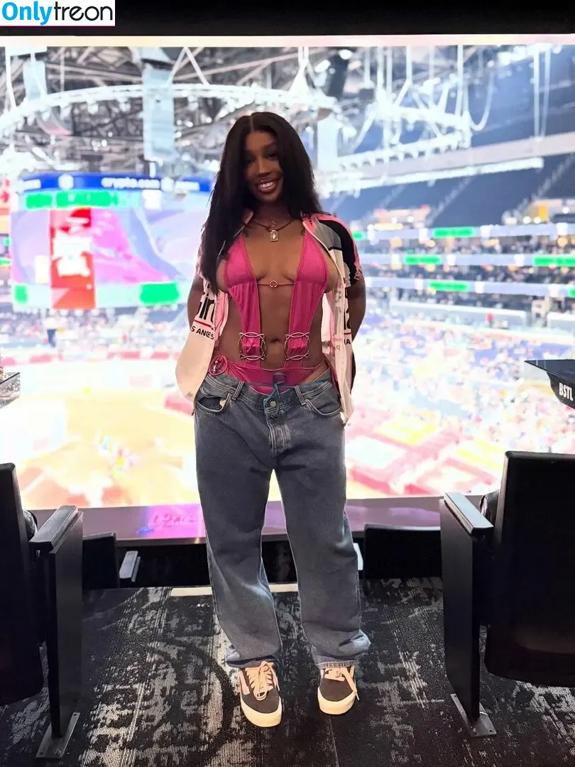 SZA голая photo #0448 (Solana Rowe / thejad3x)