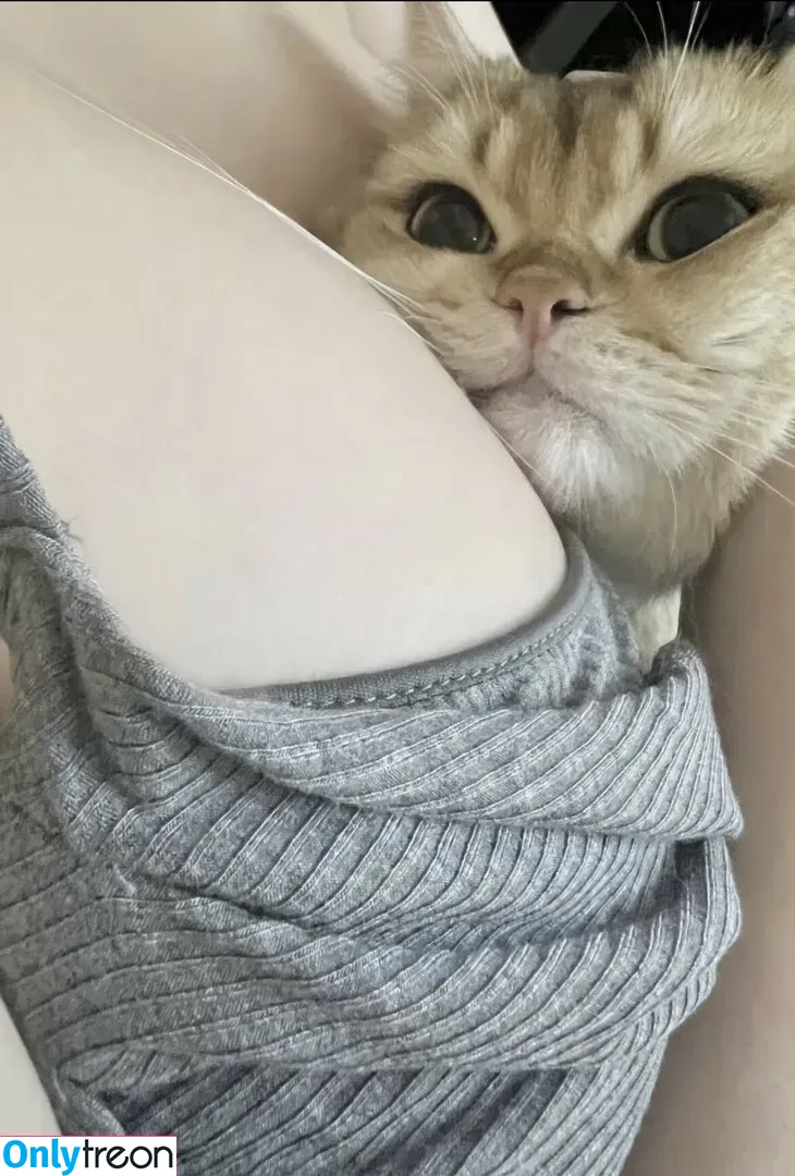 Takomayuyi nude photo #0372 (takochabuu)