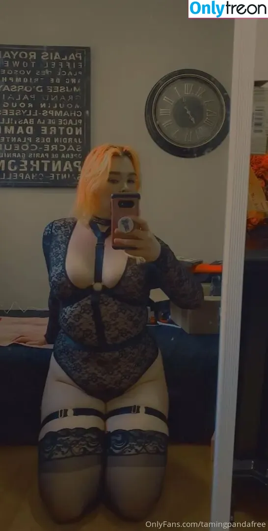 tamingpandafree nude photo #0006 (bbysarita)
