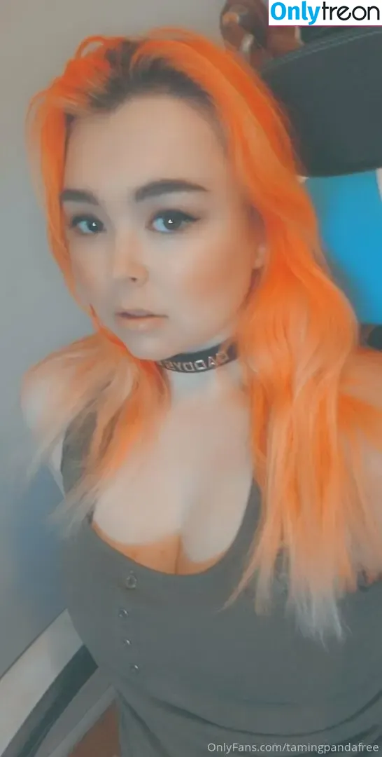 tamingpandafree nude photo #0009 (bbysarita)
