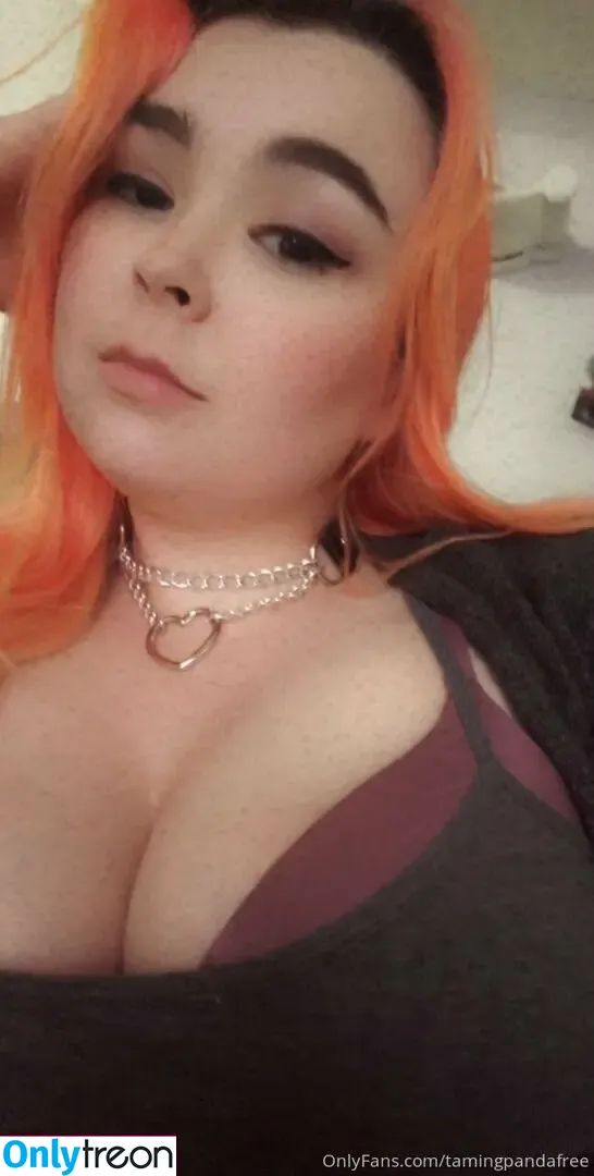 tamingpandafree nude photo #0012 (bbysarita)