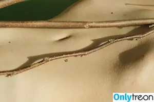 Tanya Asmodeus / tanya.asmodeus фото голая #0044
