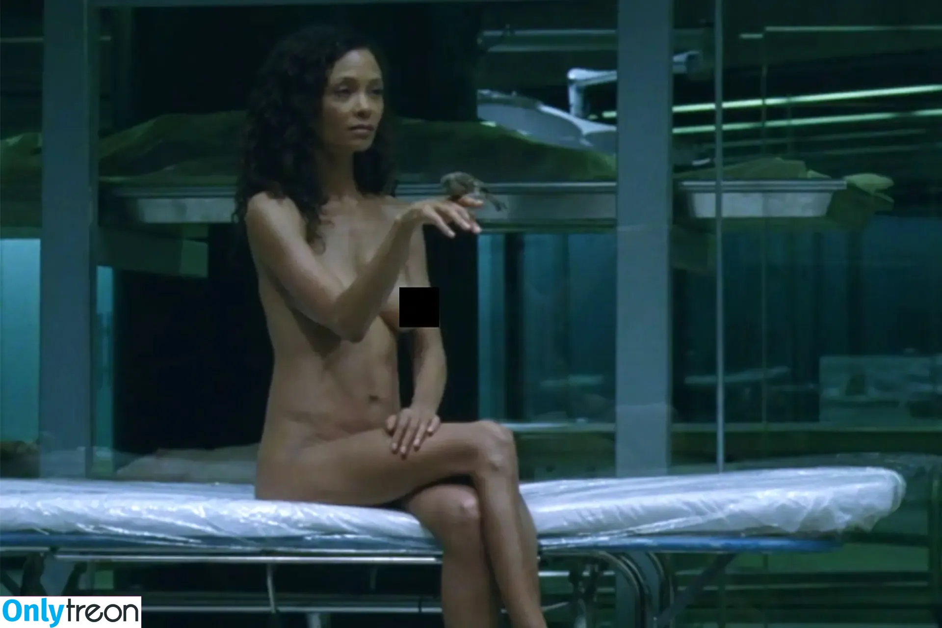 Thandie Newton nude photo #0137 (ThandiweNewton / dropitlikeitstot / thanddd)