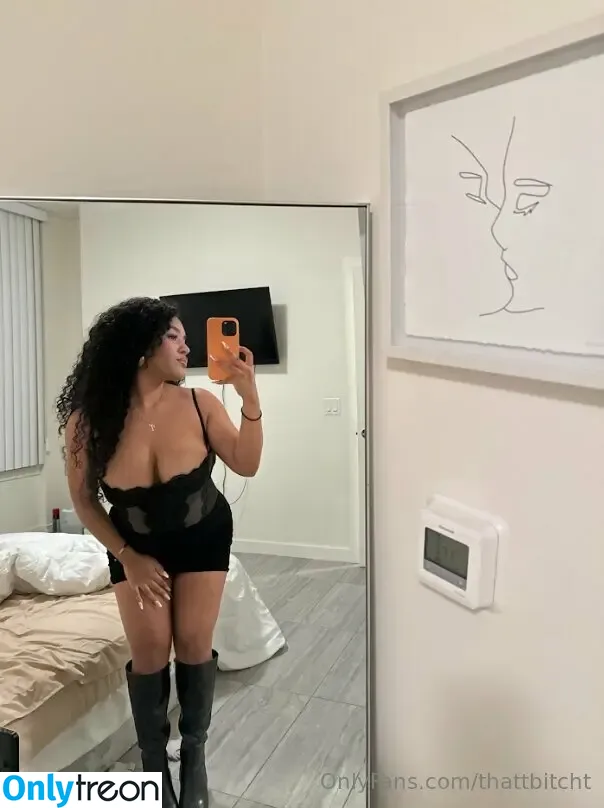 thattbitcht nude photo #0057 (thatt.bitch)