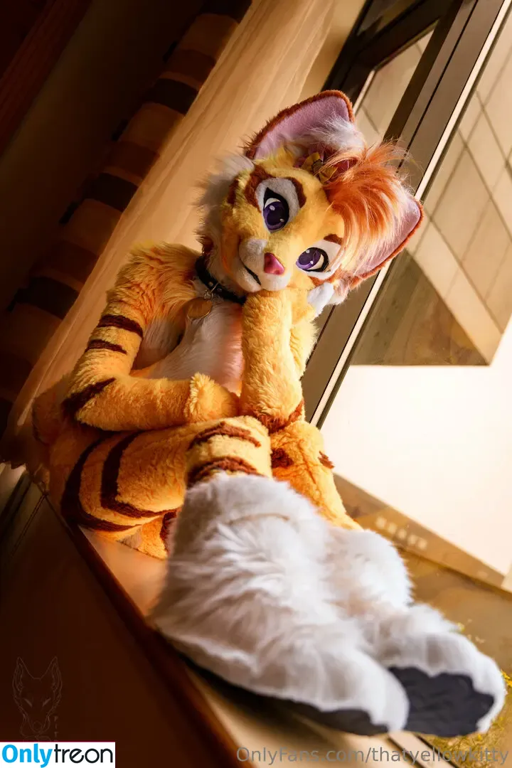 thatyellowkitty голая photo #0015 (thatyellowkitty)