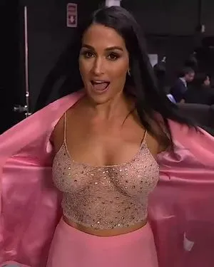 The Bella Twins: / Nikki Bella & Brie Bella / thenikkibella фото голая #0007