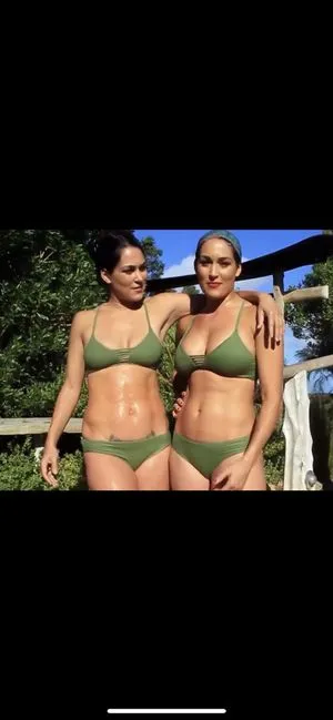 The Bella Twins: / Nikki Bella & Brie Bella / thenikkibella фото голая #0011