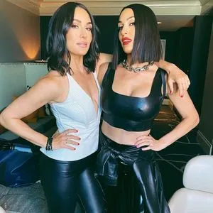 The Bella Twins: / Nikki Bella & Brie Bella / thenikkibella фото голая #0029