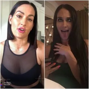 The Bella Twins: / Nikki Bella & Brie Bella / thenikkibella фото голая #0042