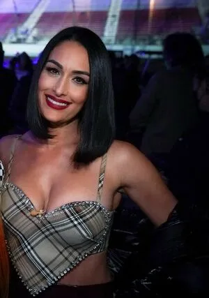 The Bella Twins: / Nikki Bella & Brie Bella / thenikkibella фото голая #0048