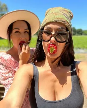 The Bella Twins: / Nikki Bella & Brie Bella / thenikkibella фото голая #0061