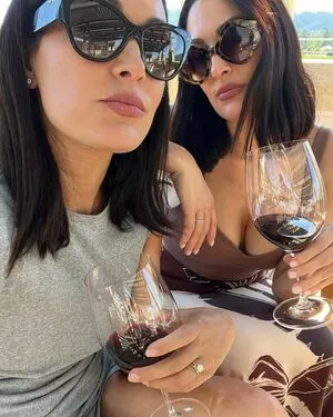 The Bella Twins: / Nikki Bella & Brie Bella / thenikkibella фото голая #0129