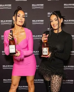 The Bella Twins: / Nikki Bella & Brie Bella / thenikkibella фото голая #0162